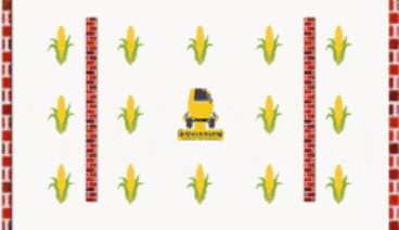Corn harvesting