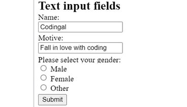 Input Fields - HTML