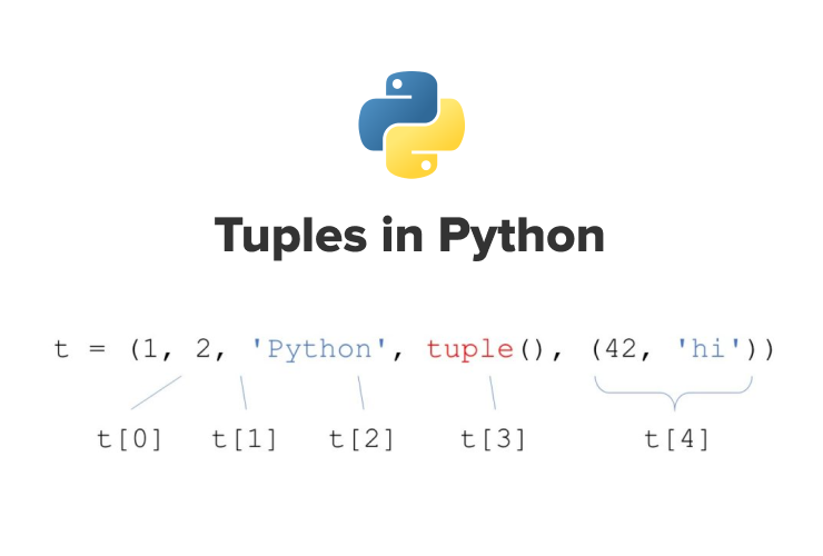 Tuples in Python | Codingal