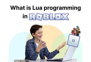 What is Lua programming in Roblox?