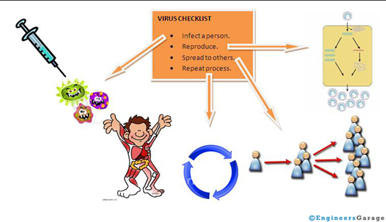 How computer virus spreads?