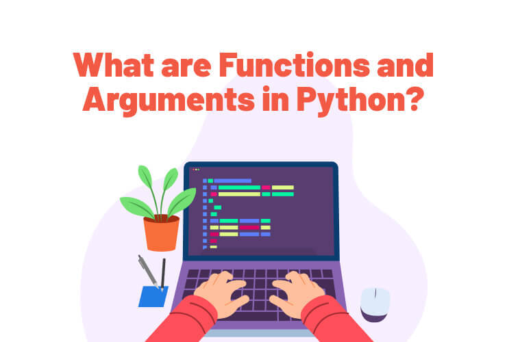 What are Functions and Arguments in Python