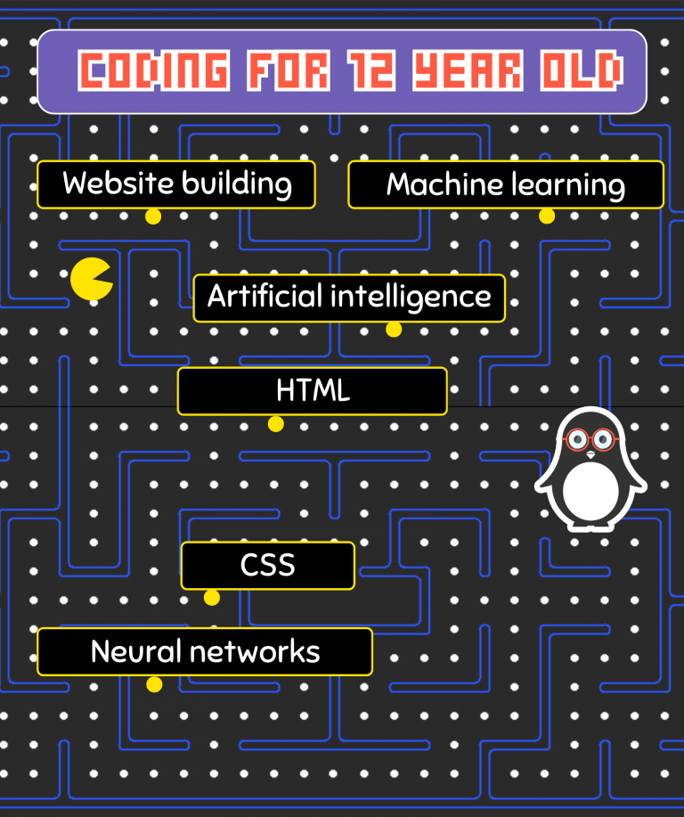 Programming for 12 year olds - Codingal